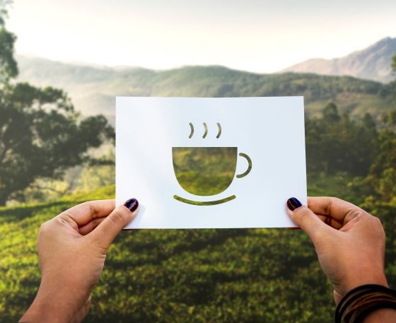 Sustainability and responsibility